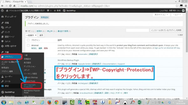 WP-Copyright-Protection06